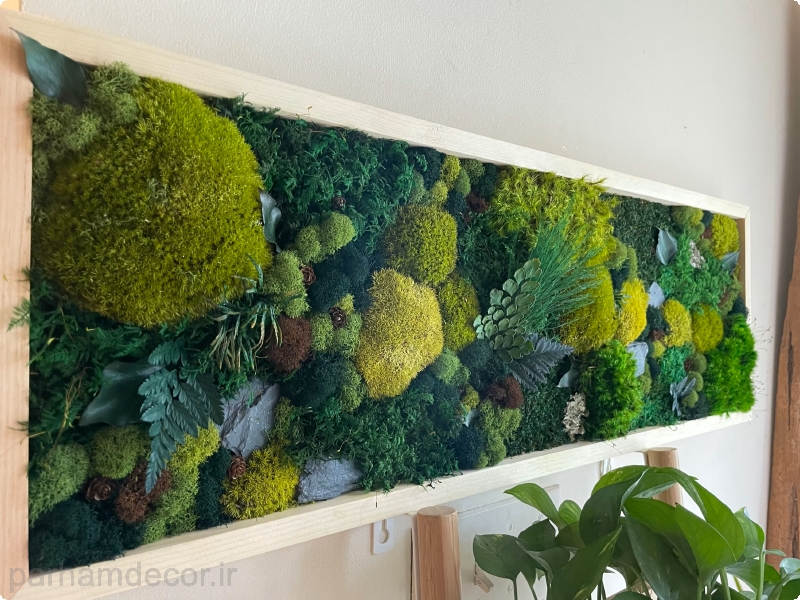 big moss wall
